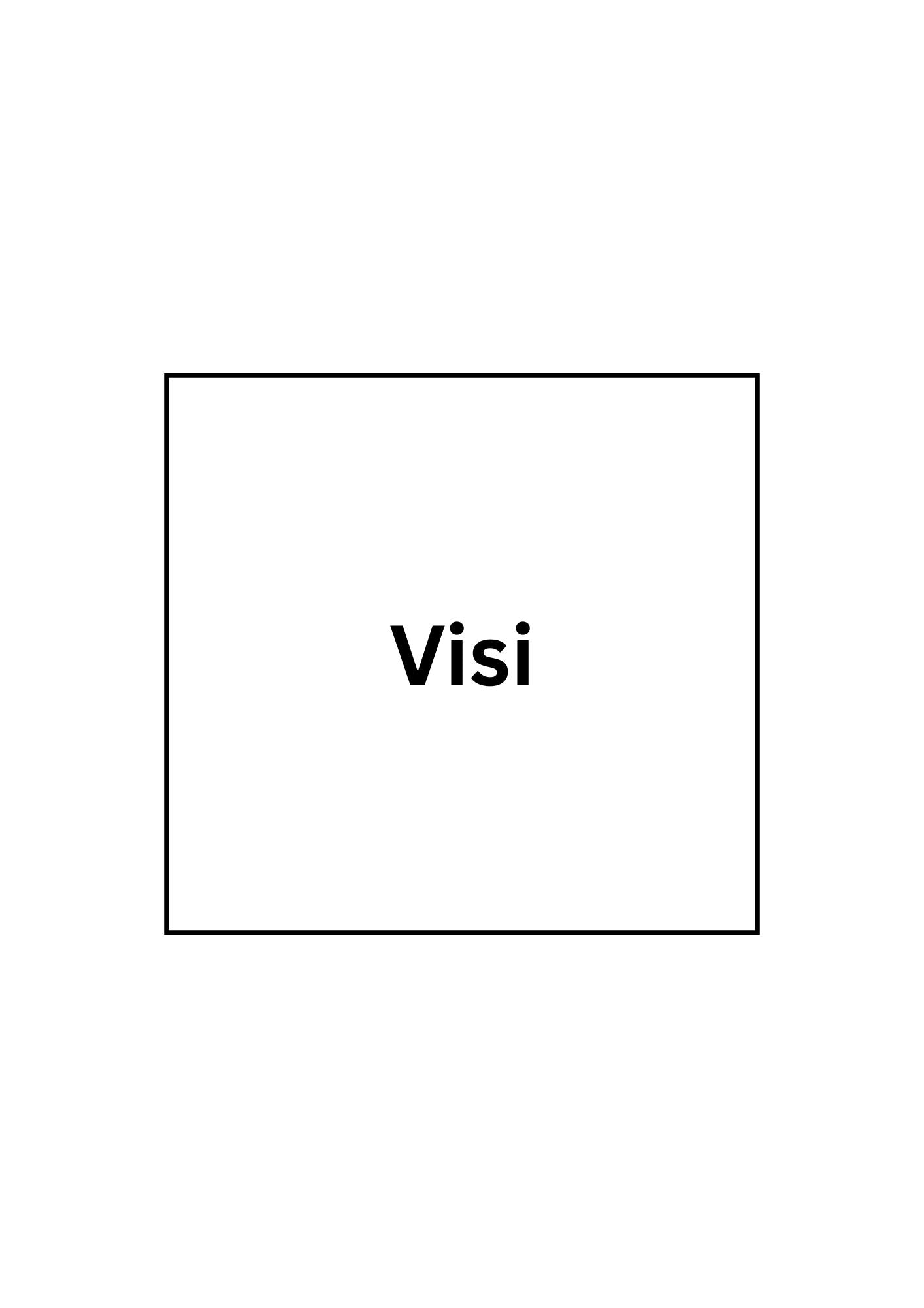 Visi